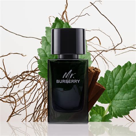 mr burberry tones|mr burberry eau de parfum.